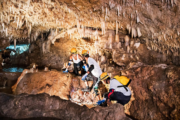 Harrisons Cave